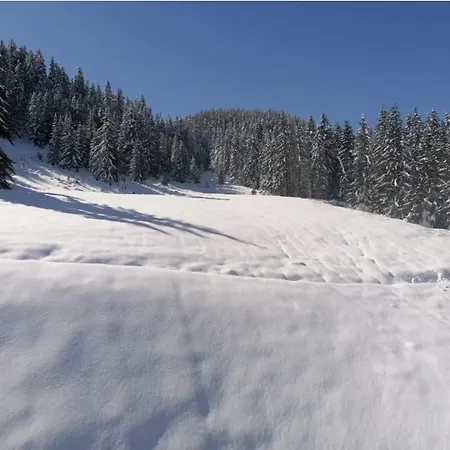 1650 - Charming Penthouse With Stunning Views & Private Parking Apartment